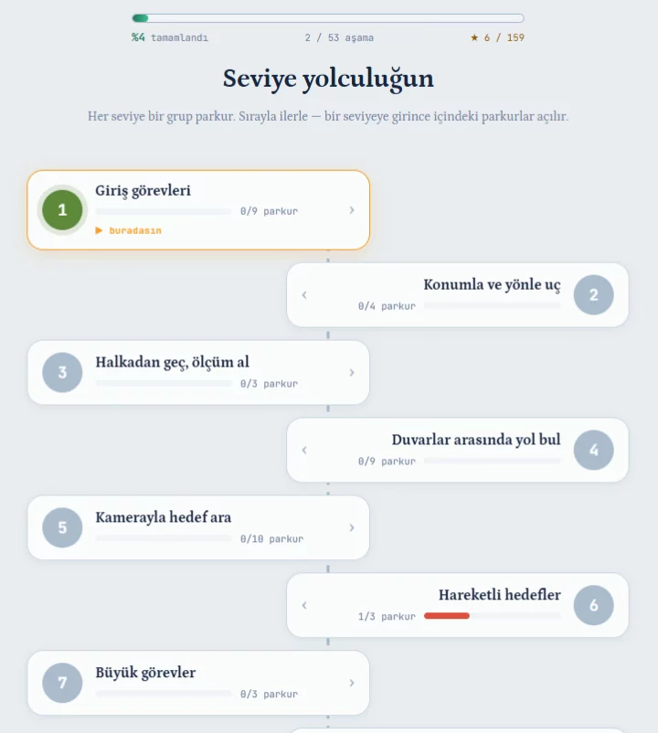 Platformdaki seviye yolculuğu ekranı